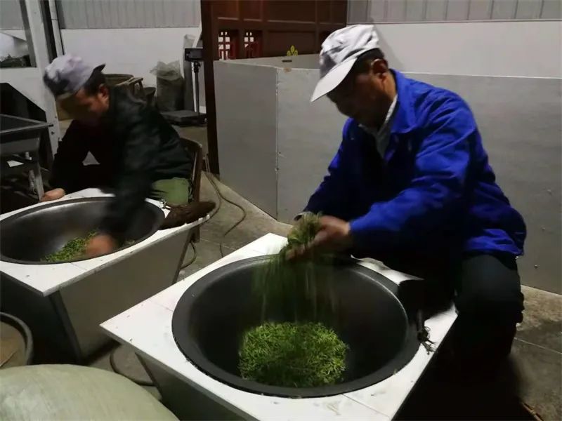 含硒茶叶有哪些