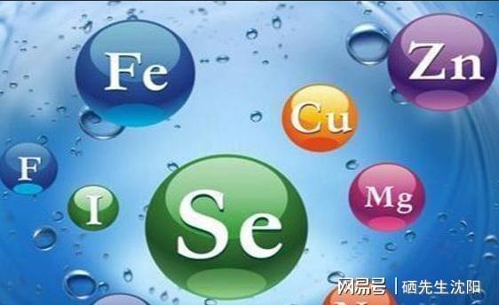 硒元素补充剂
