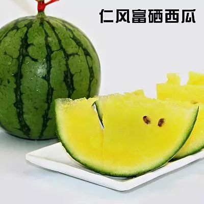 济阳仁风富硒西瓜采摘