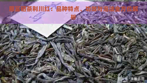 恩富硒茶利川红：品种特点、功效与泡法全方位解析