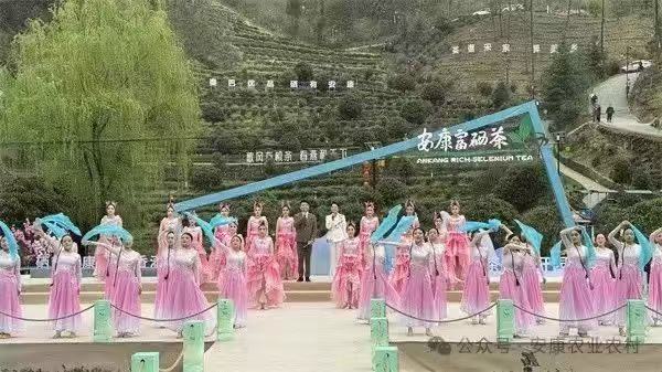 安康富硒茶图片