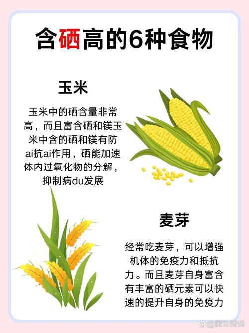 富含硒的食物