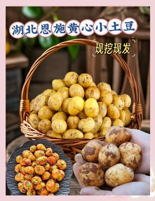 恩施富硒土豆