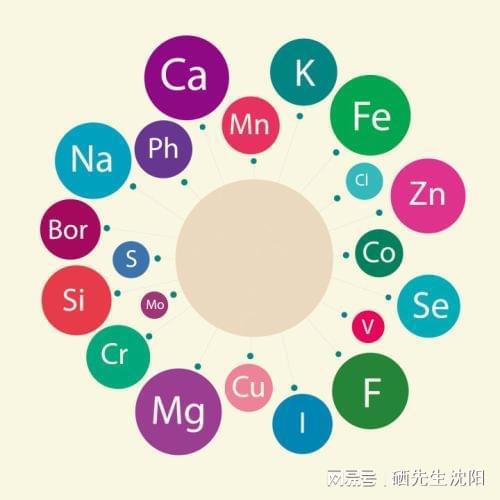 人体日常补硒