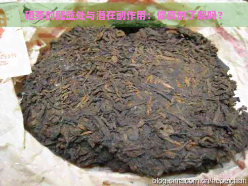 硒茶的健益处与潜在副作用：你真的了解吗？