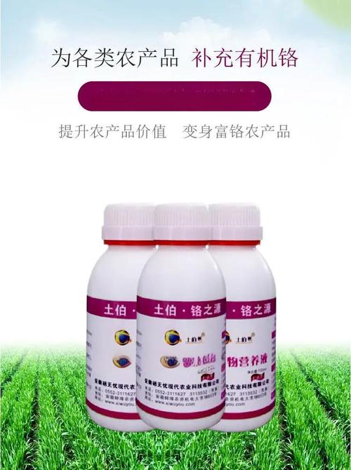 简单补硒方法