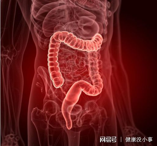 肠道息肉补硒
