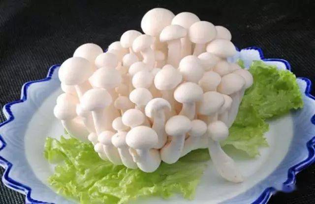 蘑菇压片补硒