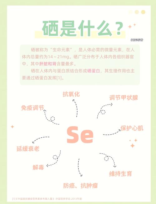 补硒研究学会(硒元素心脏?;ぷ饔茫?硒宝网