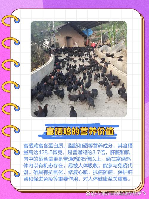 土鸡需要补硒