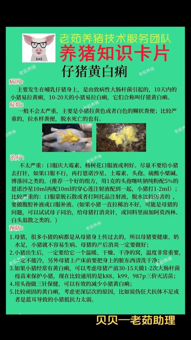小猪补铁补硒(仔猪黄?。?硒宝网