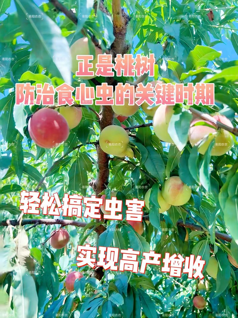 桃树怎样补硒