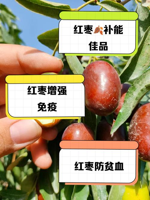 儿童补充补硒(富硒枣硒含量标准)-硒宝网