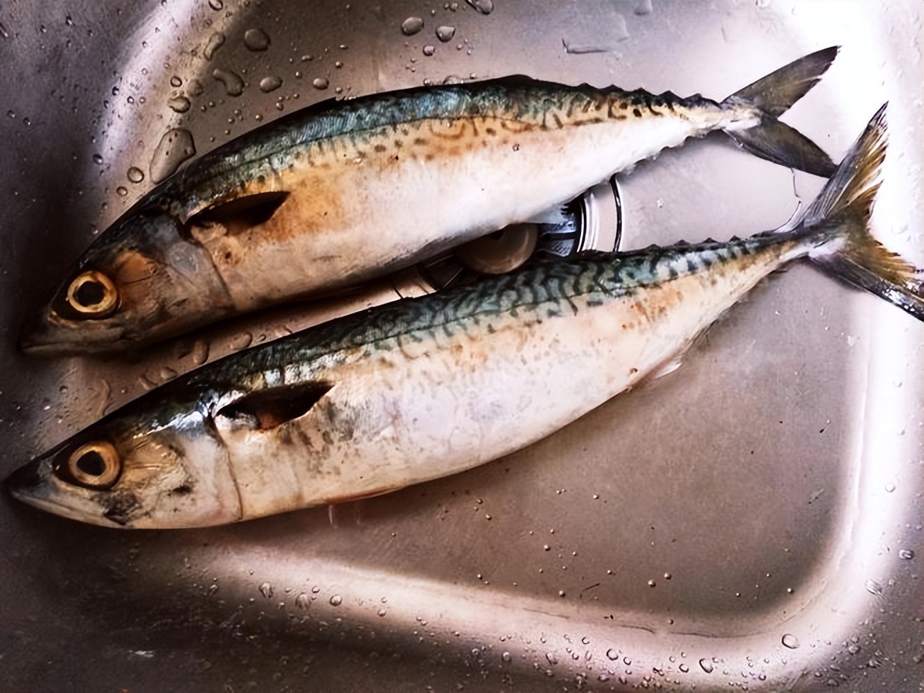 天然补硒植物(硒的摄入量标准)-硒宝网