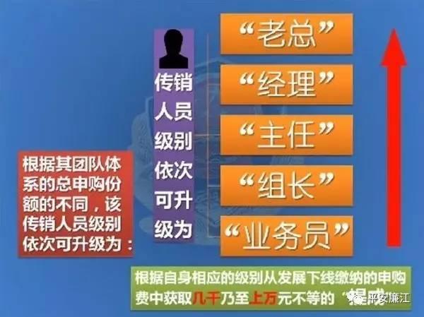 廉江：一美女任传销组织“A级头目”，曝光所谓的“国家扶持项目”