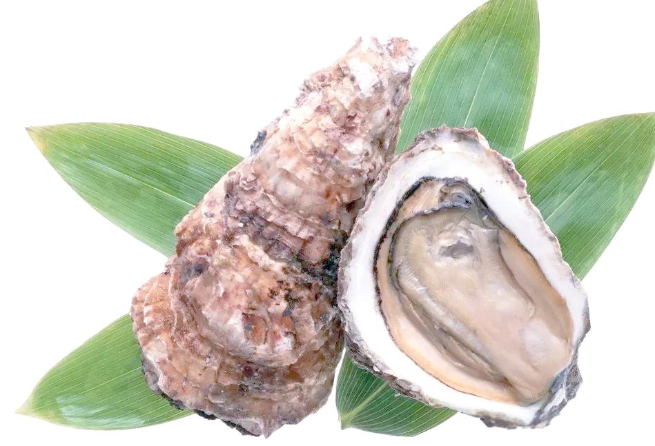 女性补硒食物()-硒宝网