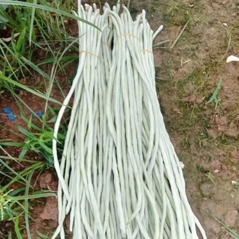 女性补硒食物()-硒宝网