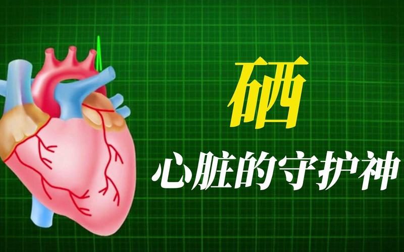 食物补硒最快