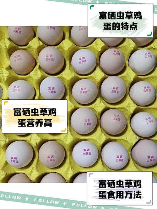 补硒鸡蛋资料(富硒虫草蛋营养价值)-硒宝网