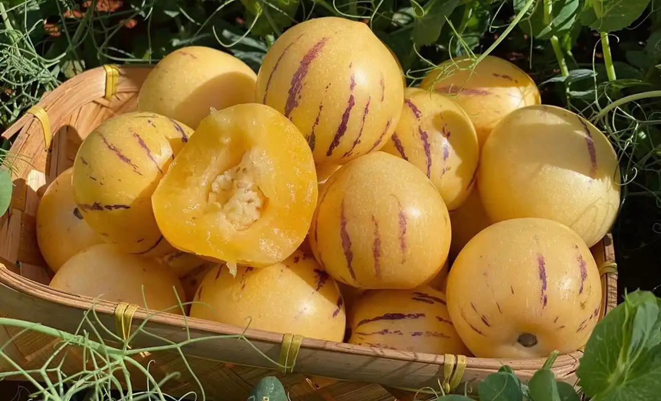 葡萄怎么补硒(甲状腺饮食调理)-硒宝网