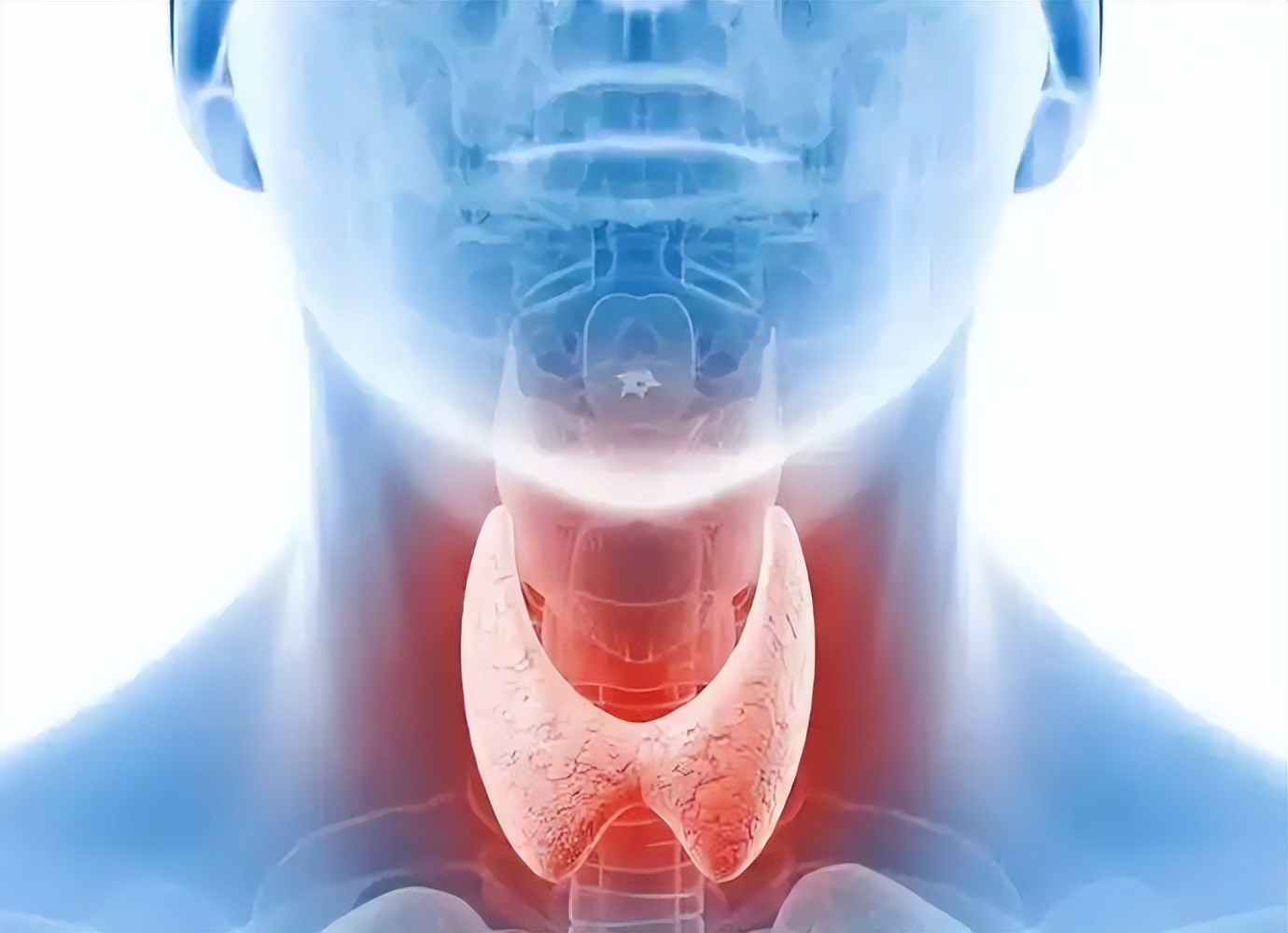 葡萄怎么补硒(甲状腺饮食调理)-硒宝网