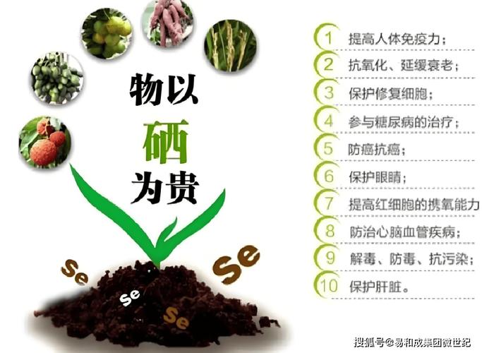 男人补硒好吗(补硒改善男性勃起功能障碍)-硒宝网