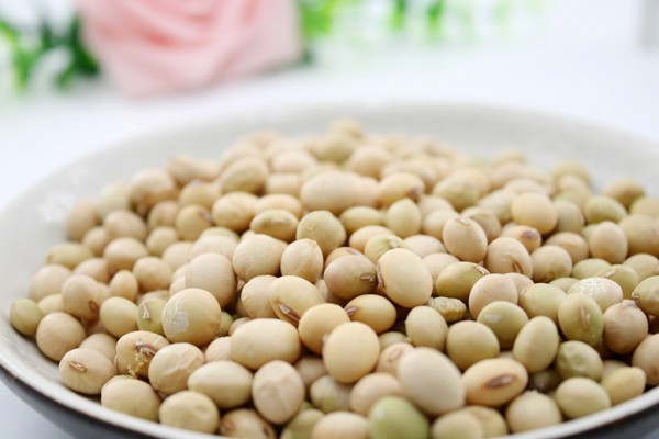 补锌补硒食品(富含锌的食物推荐)-硒宝网