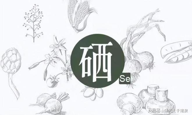 补硒什么时候(科学补硒重要性)-硒宝网