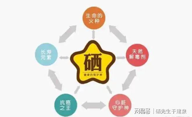 补硒什么时候(科学补硒重要性)-硒宝网