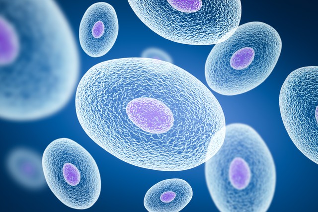 硒什么怎么补(硒与免疫系统功能)-硒宝网