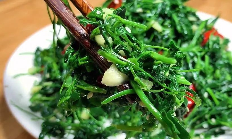 鹅肝可以补硒(凉拌苜蓿做法)-硒宝网