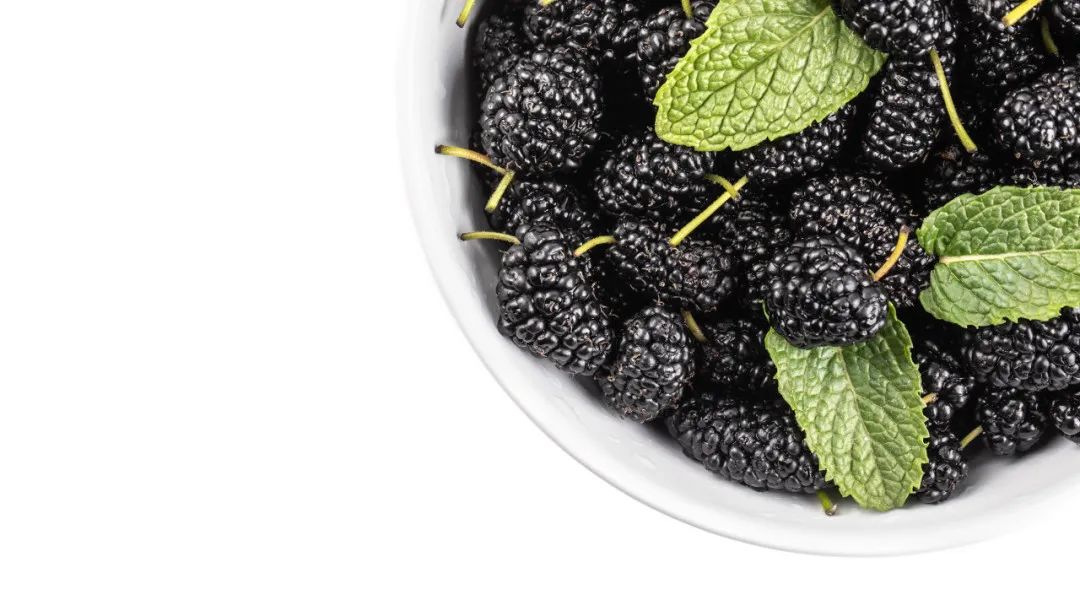 桑椹能补硒吗(桑葚滋补作用与食用方法)-硒宝网