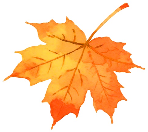 发烧能补硒吗(不同鸡蛋营养差异分析)-硒宝网