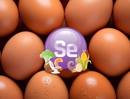 发烧能补硒吗(不同鸡蛋营养差异分析)-硒宝网