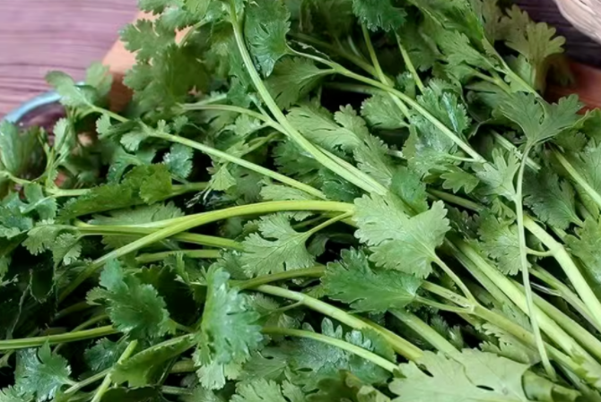 补硒排毒组合(海带香菜大蒜排毒食物)-硒宝网