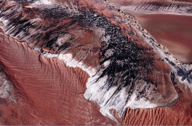 补硒后想睡觉(鸡肝补硒效果)-硒宝网