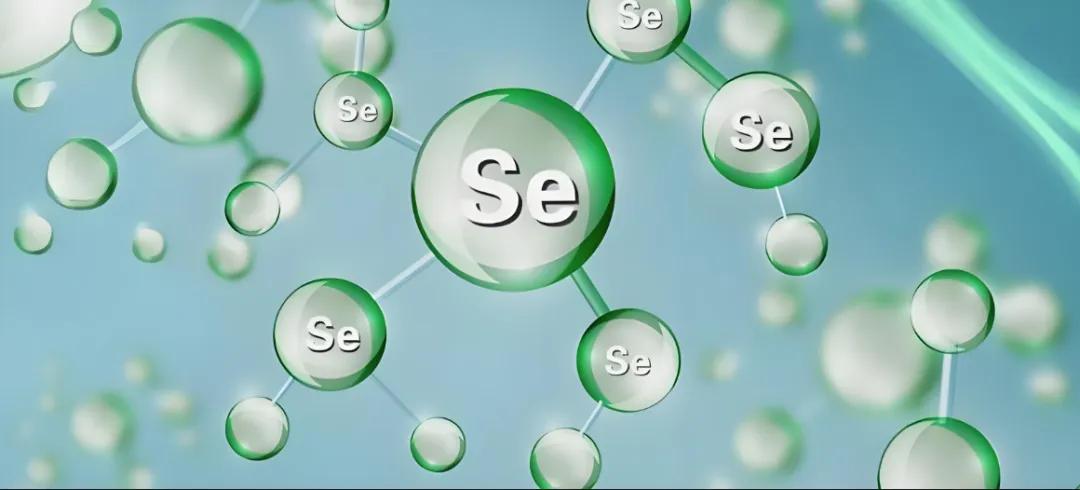 肾功能与补硒(硒元素与肾脏健康关系)-硒宝网