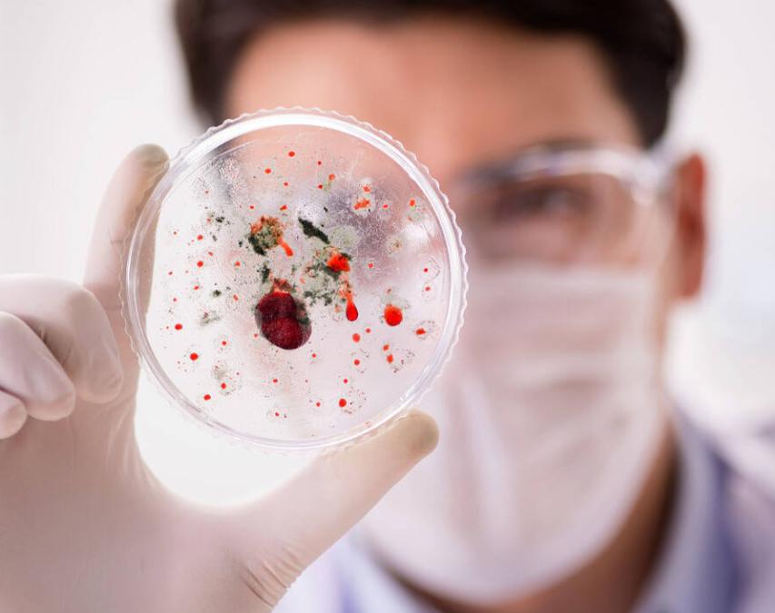 补硒后的食品()-硒宝网