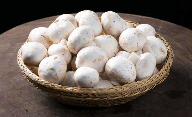 补硒后的食品(口蘑补硒食谱)-硒宝网