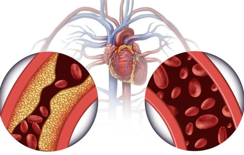 补硒后的食品(口蘑补硒食谱)-硒宝网