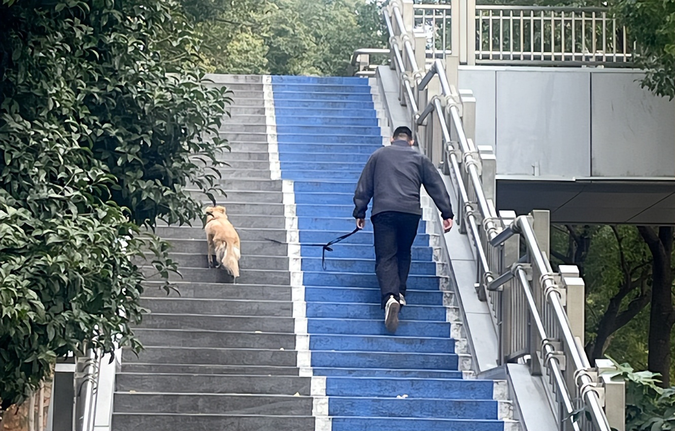 补硒后的食品(口蘑补硒食谱)-硒宝网