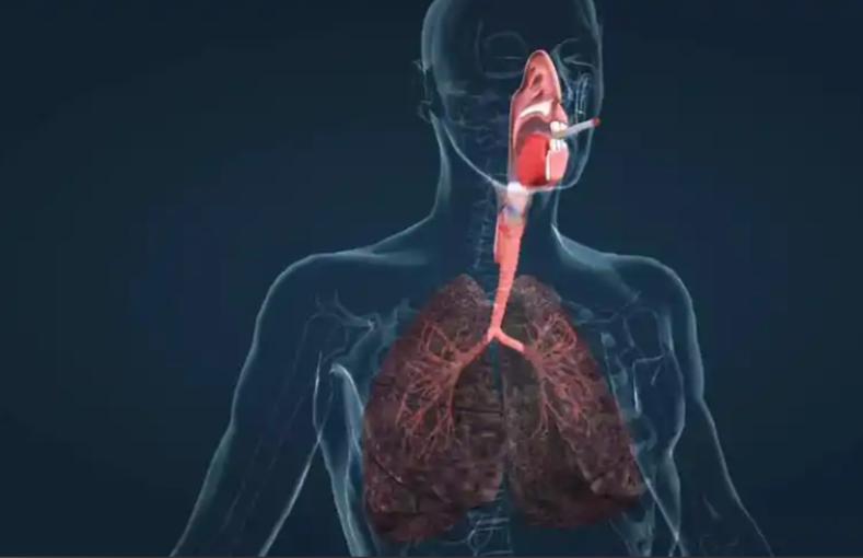 补硒后的食品(口蘑补硒食谱)-硒宝网