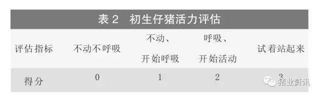 母猪能补硒吗(母猪免疫调节作用)-硒宝网