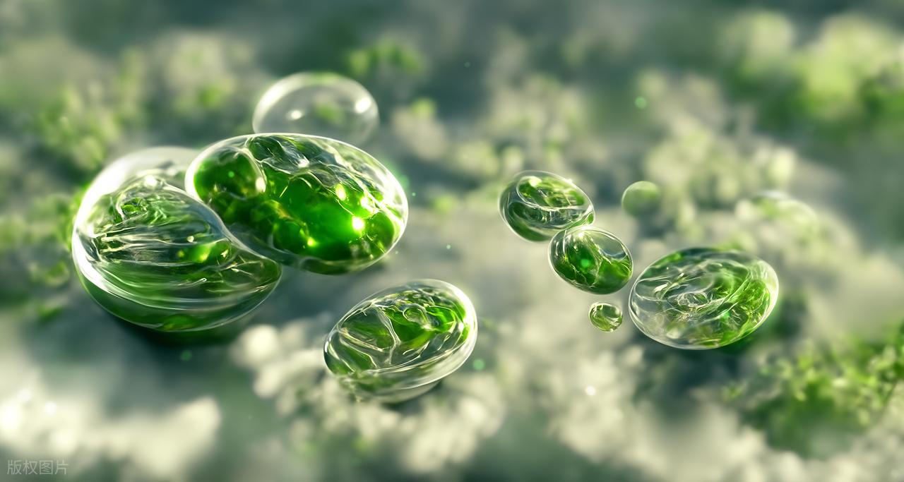 补硒要吃什么(硒与免疫系统健康)-硒宝网