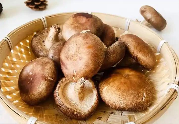 什么病才补硒(硒与抗癌研究)-硒宝网