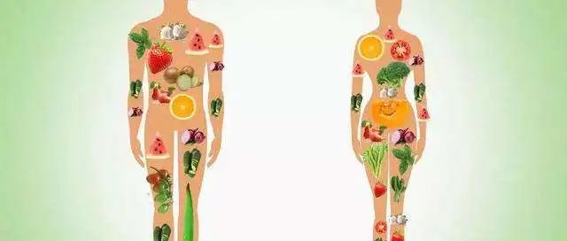 碘锌硒怎么补(脂类营养素作用)-硒宝网