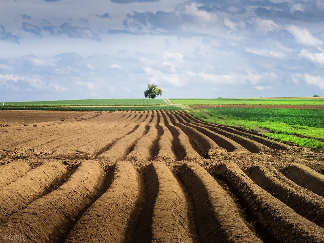 血脂高能补硒(富含硒的食物)-硒宝网