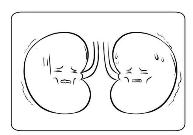 肾衰能补硒吗(睡好觉的重要性)-硒宝网