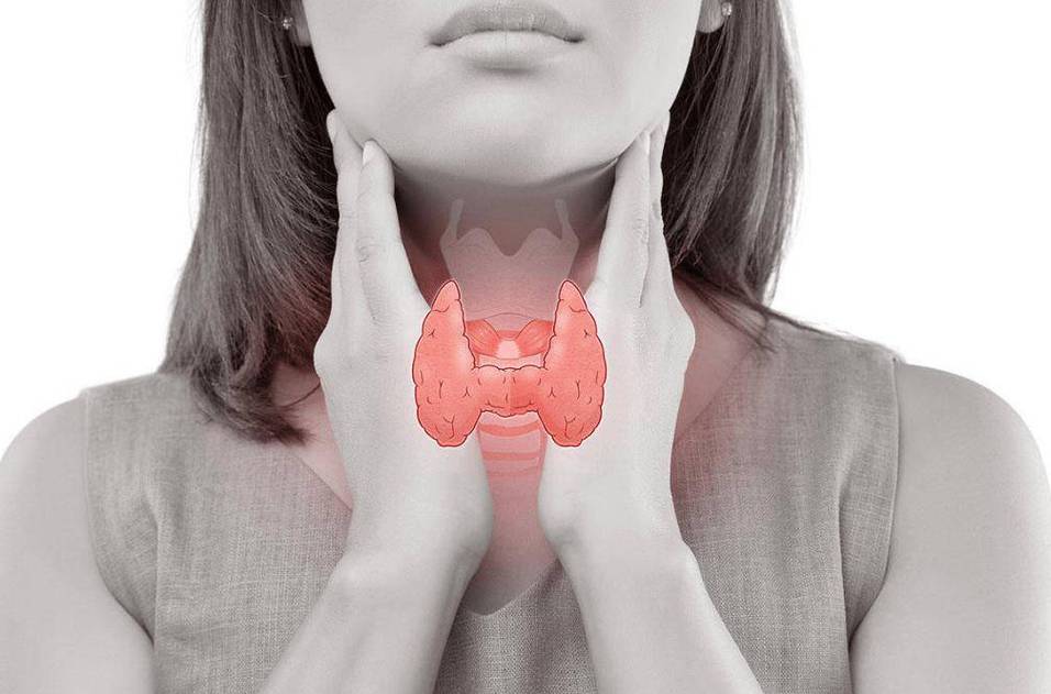 啥水果能补硒()-硒宝网