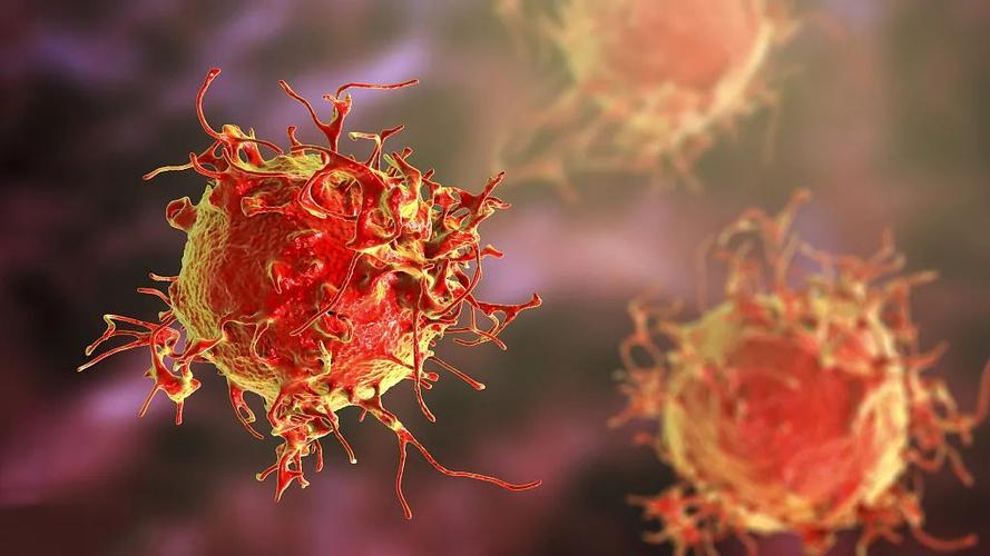 啥水果能补硒()-硒宝网